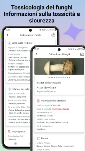 Identificatore di funghi screenshot 5