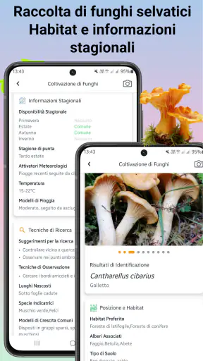 Identificatore di funghi screenshot 6