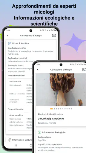 Identificatore di funghi screenshot 7
