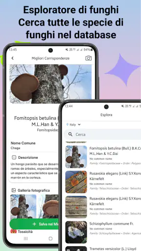Identificatore di funghi screenshot 8