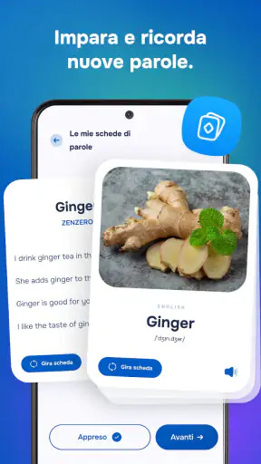Impara Lingue con AI screenshot 11