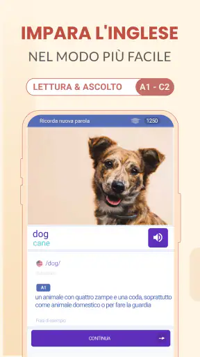 Imparare L'inglese Facilmente screenshot 9