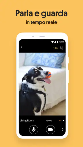 Alfred Camera: IP Camera screenshot 4