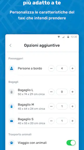 itTaxi screenshot 2