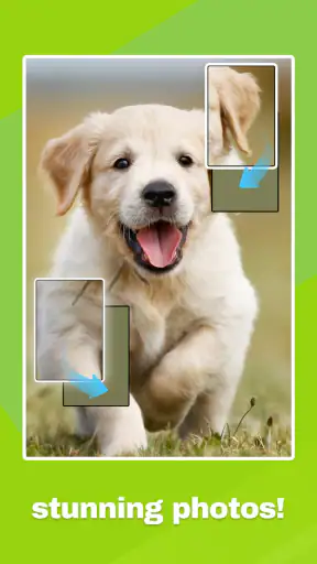 Jigblock Puzzle screenshot