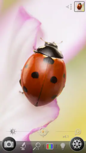 Lente di ingrandimento screenshot 3