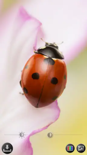 Lente di ingrandimento screenshot 5