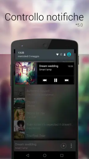Lettore musicale: Music Player screenshot 12