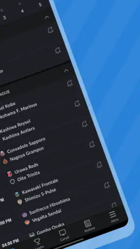 Live Calcio TV: Risultati screenshot 2