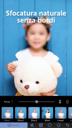 Mosaico+ Sfocatura Foto screenshot 3