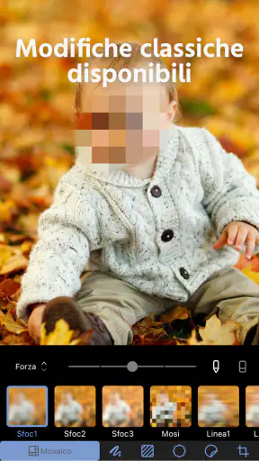 Mosaico+ Sfocatura Foto screenshot 7