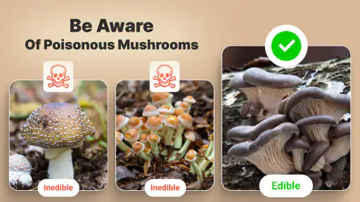 Mushroomizer screenshot 8