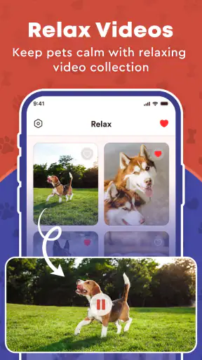 Pet Ai - Dog & Cat Translator screenshot 6