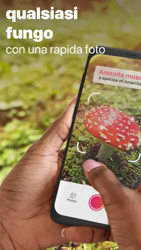 Picture Mushroom: Guida Fungo screenshot 1