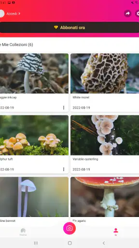 Picture Mushroom: Guida Fungo screenshot 10