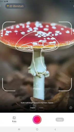 Picture Mushroom: Guida Fungo screenshot 11