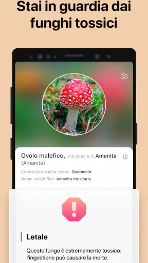 Picture Mushroom: Guida Fungo screenshot 3