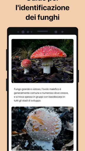 Picture Mushroom: Guida Fungo screenshot 4