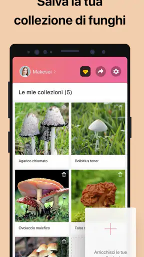Picture Mushroom: Guida Fungo screenshot 5