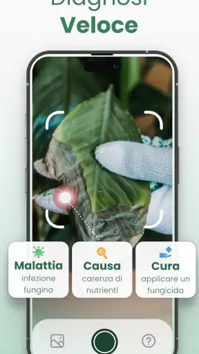 Plantify: Riconoscere Piante screenshot 4