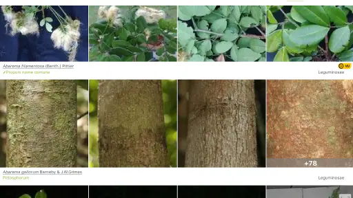 PlantNet Plant Identification screenshot 11