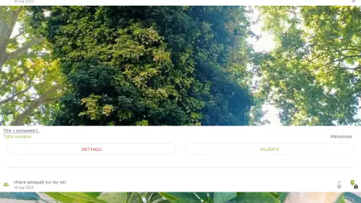 PlantNet Plant Identification screenshot 12