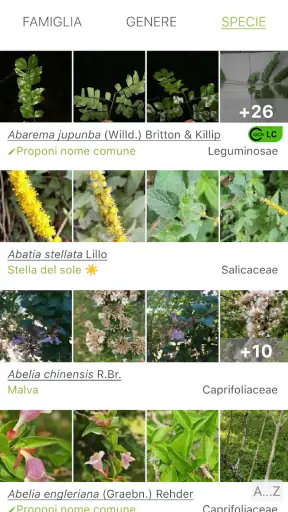 PlantNet Plant Identification screenshot 3
