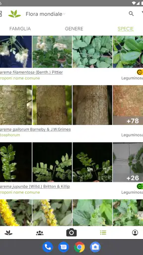 PlantNet Plant Identification screenshot 7