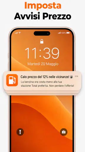 Prezzi Benzina Diesel e Metano screenshot 5