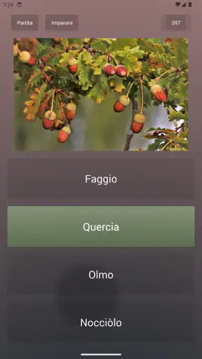 Quiz di cultura generale screenshot 10