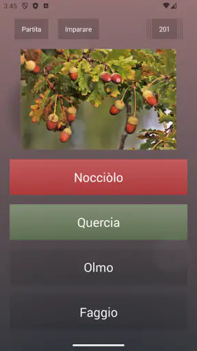 Quiz di cultura generale screenshot 2