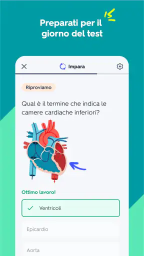 Quizlet: Flashcard con IA screenshot 3