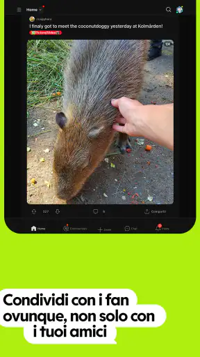 Reddit screenshot 11
