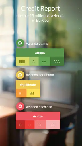 s-peek - Credit report screenshot 2