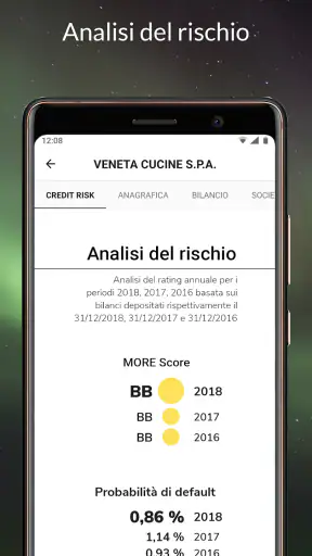 s-peek - Credit report screenshot 4