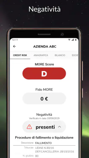 s-peek - Credit report screenshot 5