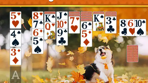 Solitario Classico - 2026 screenshot 12