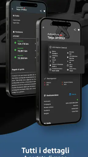 TargApp - Visura targa screenshot 3