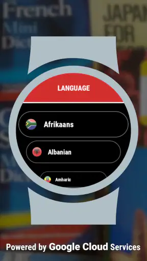 Translator (Wear OS) screenshot 3