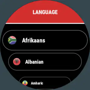 Translator (Wear OS) screenshot 9