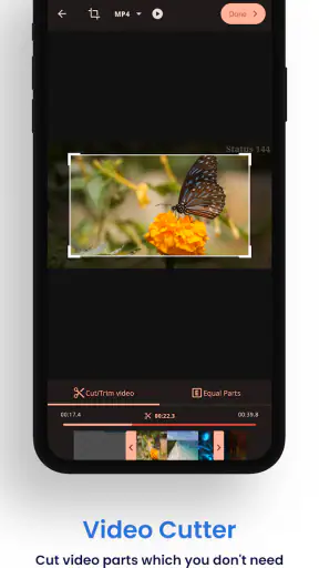 Video Converter Pro screenshot