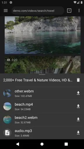 Video Downloader Pro screenshot