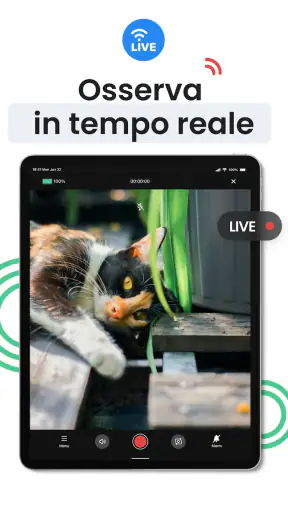Videocamera di sicurezza screenshot 12