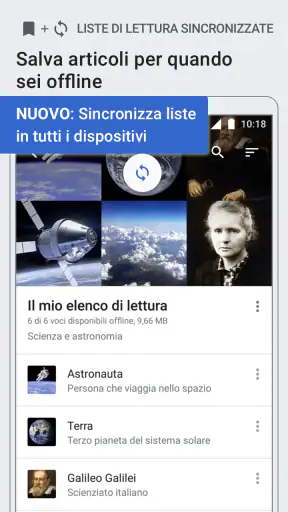 Wikipedia screenshot 4