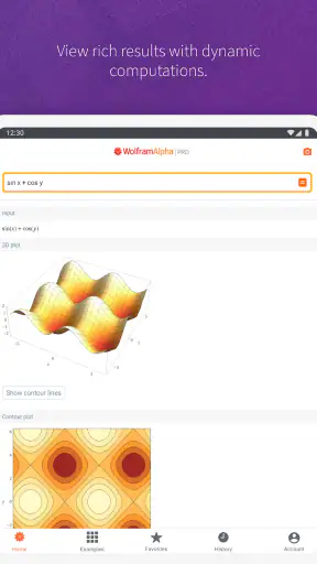 WolframAlpha screenshot 12