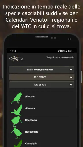 XCaccia screenshot 4