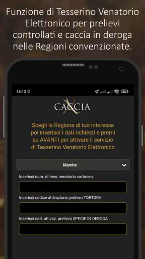 XCaccia screenshot 7