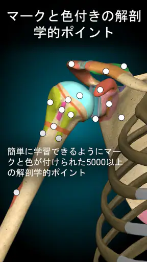 Anatomy Learning - 3D人体解剖図 screenshot 3