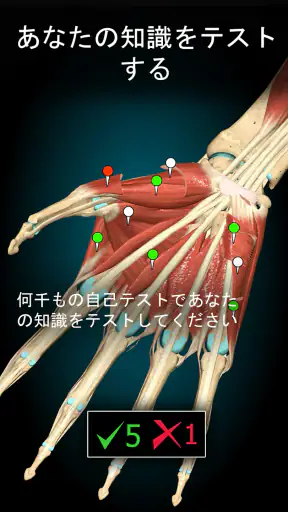 Anatomy Learning - 3D人体解剖図 screenshot 5