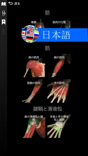 Anatomy Learning - 3D人体解剖図 screenshot 6